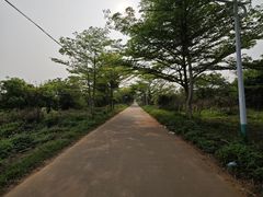 -石螺口海滩