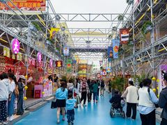 -海心沙亚运公园