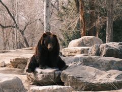 -北京野生动物园