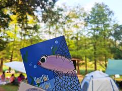 -南宁良凤江国家森林公园