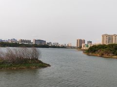 -立新湖公园