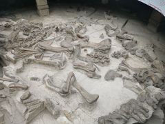 -自贡恐龙博物馆