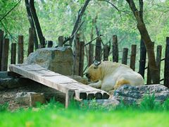 -北京野生动物园