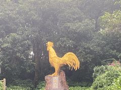 -海口火山口国家地质公园