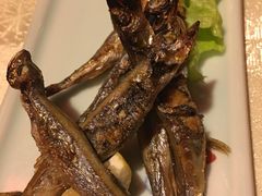 -禅猫日本料理
