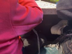 -高丽屋(天宁寺店)