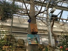 -国家植物园南园