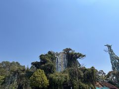 -云南野生动物园