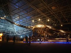 -世界恐龙谷景区