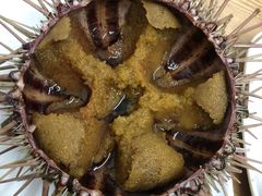 活海胆-海胆小馆(春柳店)