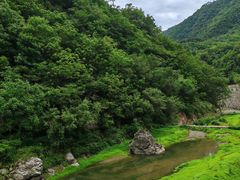 -牛背梁国家森林公园