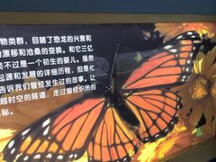 -上海昆虫博物馆