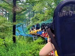 -沂蒙山旅游区云蒙景区(蒙山国家森林公园)