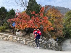 -北京鹫峰国家森林公园