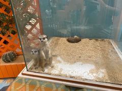 -龙湖西安曲江天街