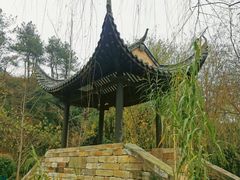 -黄陂区野村谷景区