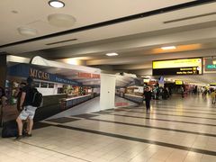 -约翰·菲茨杰拉德·肯尼迪国际机场