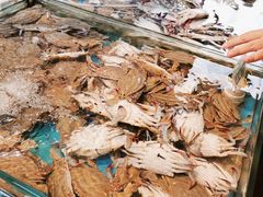 -新隆嘉 供销超市(修竹商场店)