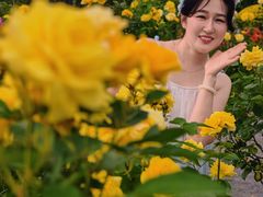 -金银湖国家城市湿地公园