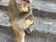 -白帝城·瞿塘峡景区