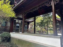 -十八棵（老龙井）御茶园(老龙井店)
