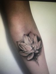 -Why  not  tattoo