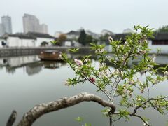 -水绘园