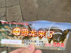 -北京世界公园
