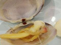 干蒸海鲜锅-渔娘渔家丹东海鲜(东直门店)