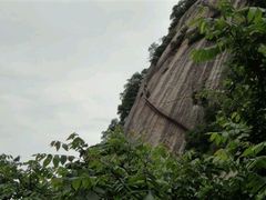 android_upload_pic-陕西省红河谷森林公园