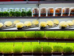 -番食园鲜食火锅(高新店)