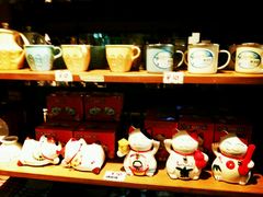 -猫咪博物馆(顶澳仔猫街店)