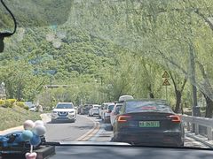 -牛背梁国家森林公园