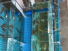 -蓝珊甄选海鲜自助·火锅大排档(近阿那亚店)