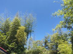 -中苑海韵