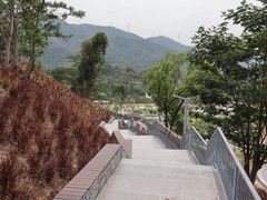 -白石龙音乐公园