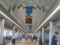 -奥黑尔国际机场