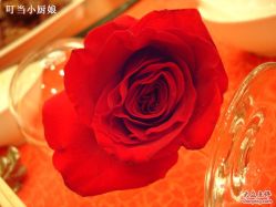 -新锦江大酒店·宴会厅·婚宴