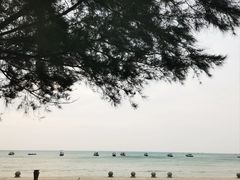 -万尾金滩