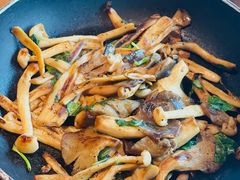 橄榄油煎三种菇-庆春朴门(前滩太古里店)