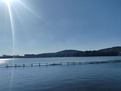 -上海月湖雕塑公园
