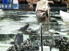 -沙田台山海鲜·酣客酒窖