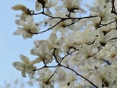 -外高桥保税区南(地铁站)