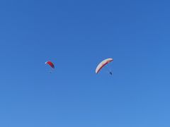 -费特希耶滑翔伞