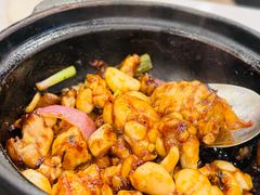 -大嫂镬仔·焖鸡煲·啫啫煲(逢源路店)