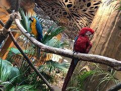 -杭州开元森泊度假乐园