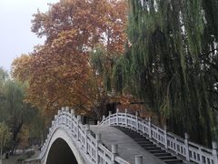 -西安市长乐公园