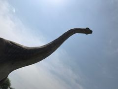 -南通洲际绿博园