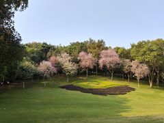 -点都德(广州白云山景区南门店)