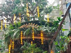-正佳雨林生态植物园